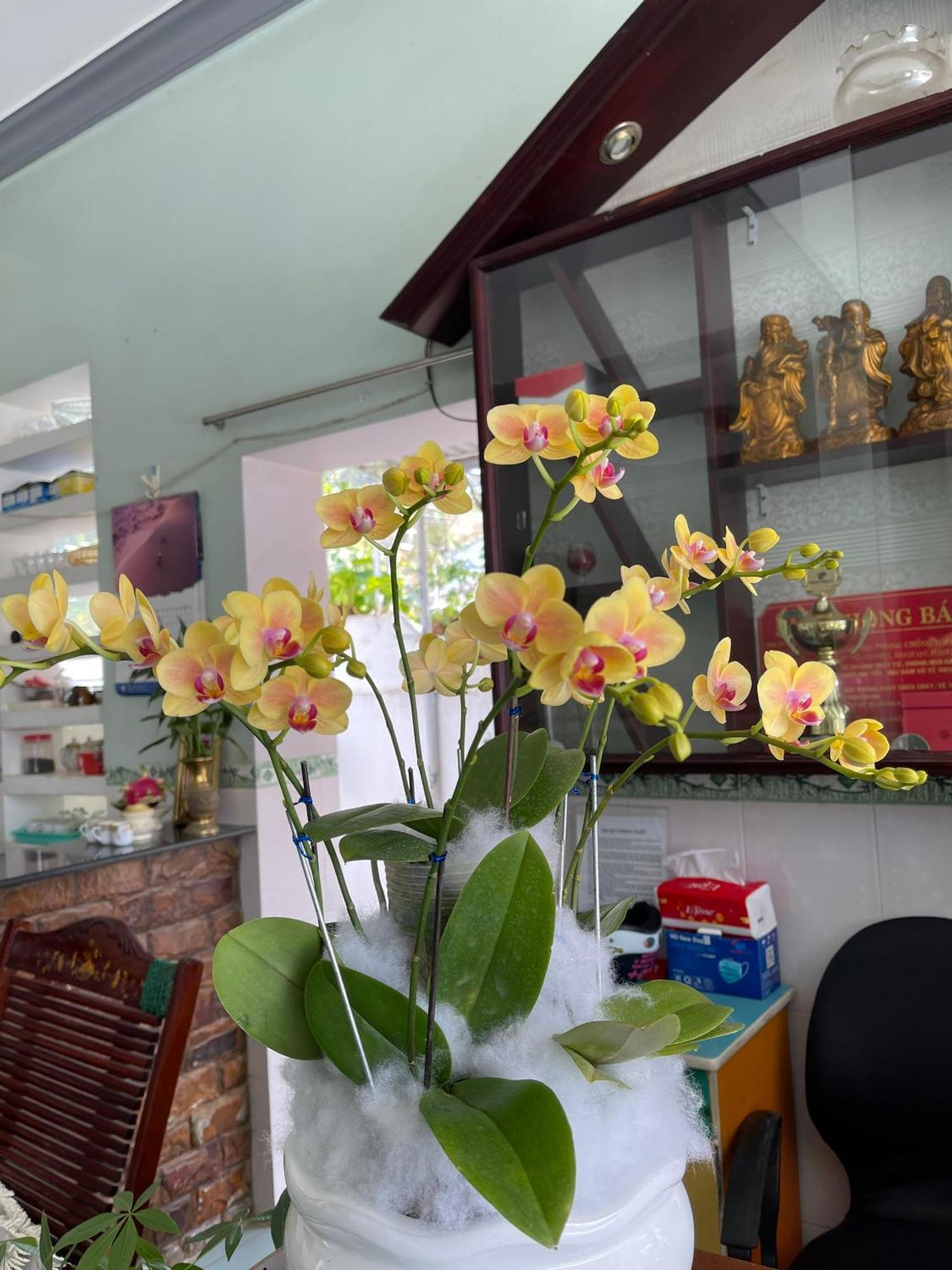 Son Tra Guesthouse มุยเน่ ภายนอก รูปภาพ